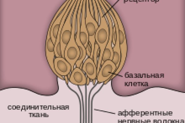 Украли аккаунт на кракене