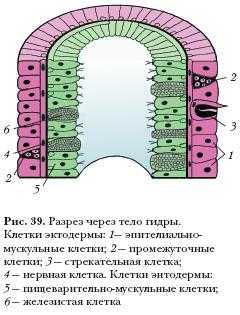 Как вернуть аккаунт на кракене